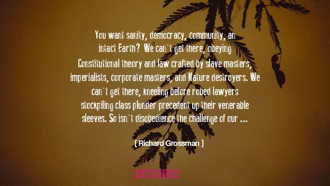 Plunder quotes by Richard Grossman