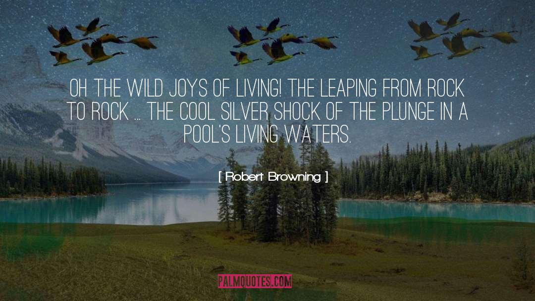 Plunge quotes by Robert Browning