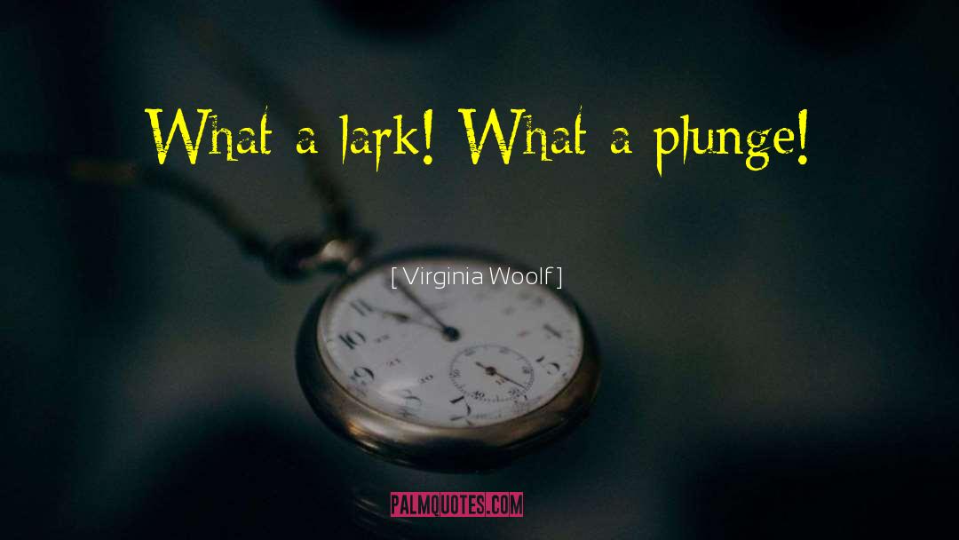 Plunge quotes by Virginia Woolf