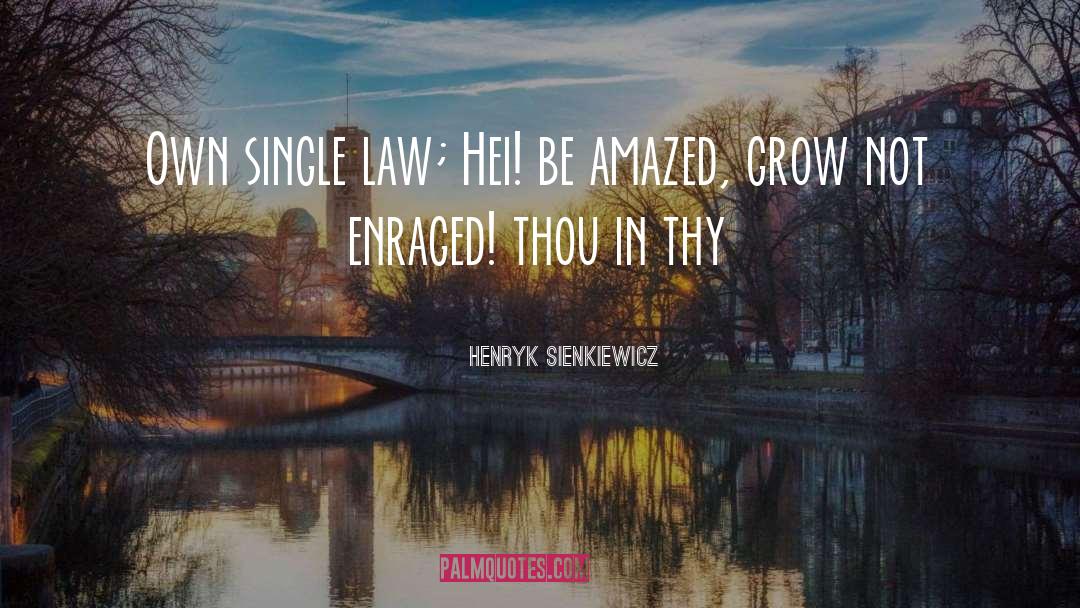 Pluymen Law quotes by Henryk Sienkiewicz