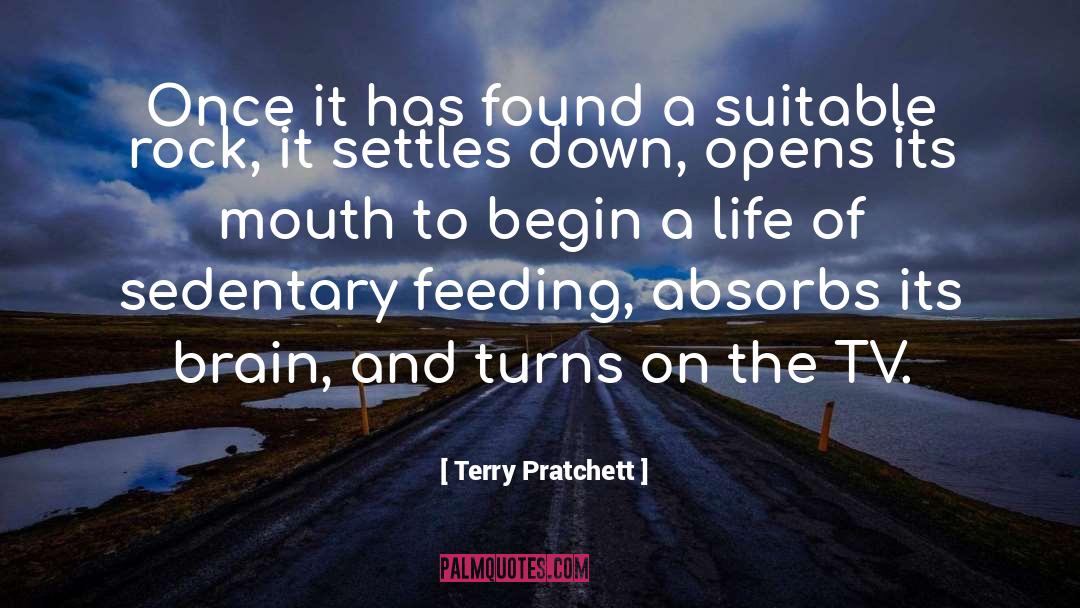 Plymouth Rock quotes by Terry Pratchett