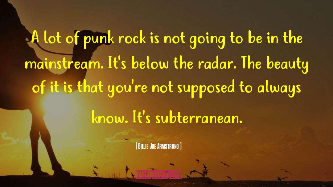 Plymouth Rock quotes by Billie Joe Armstrong