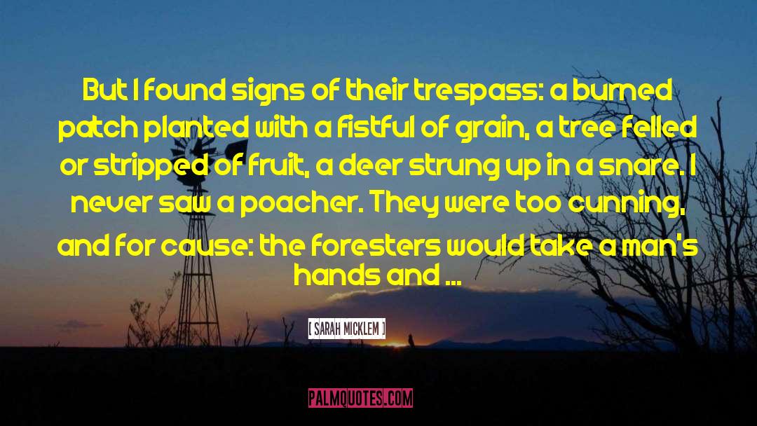 Poachers quotes by Sarah Micklem
