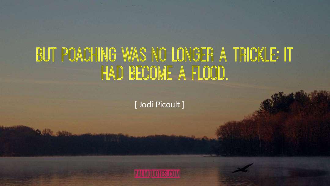 Poaching quotes by Jodi Picoult