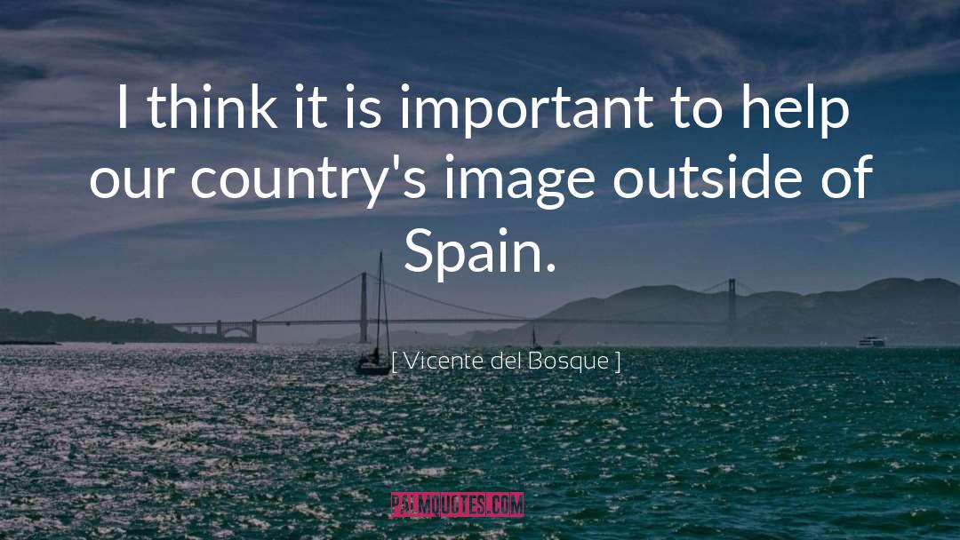 Poblador Del quotes by Vicente Del Bosque