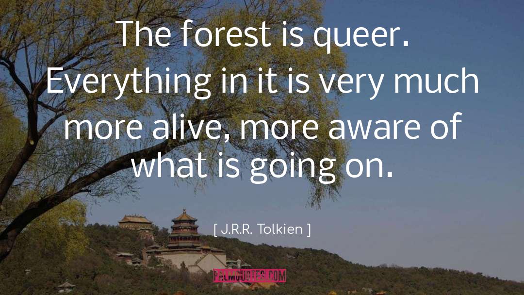 Pocket Forest quotes by J.R.R. Tolkien