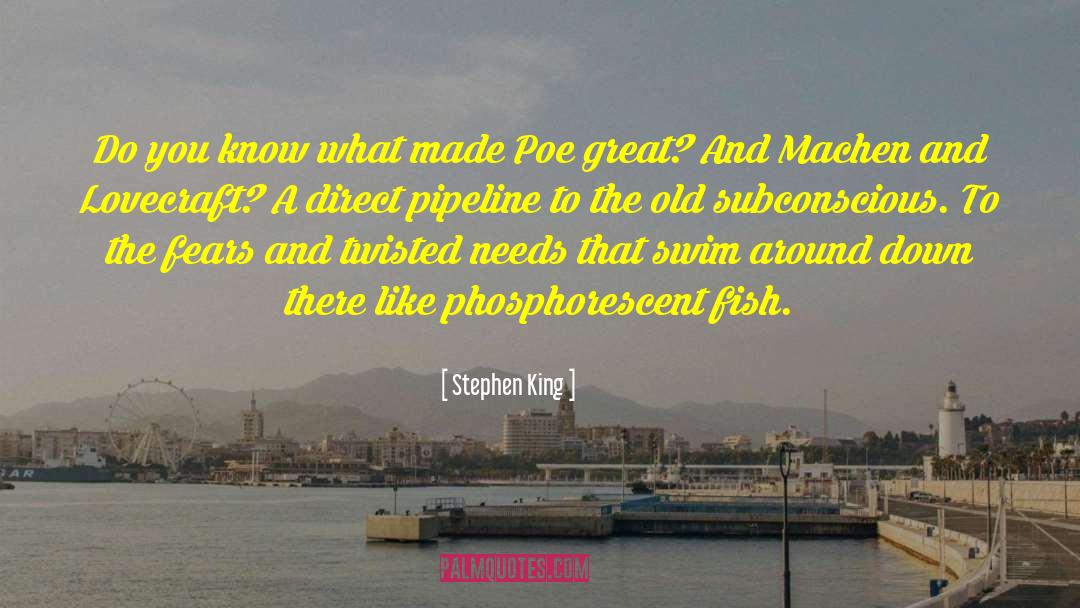 Poe quotes by Stephen King