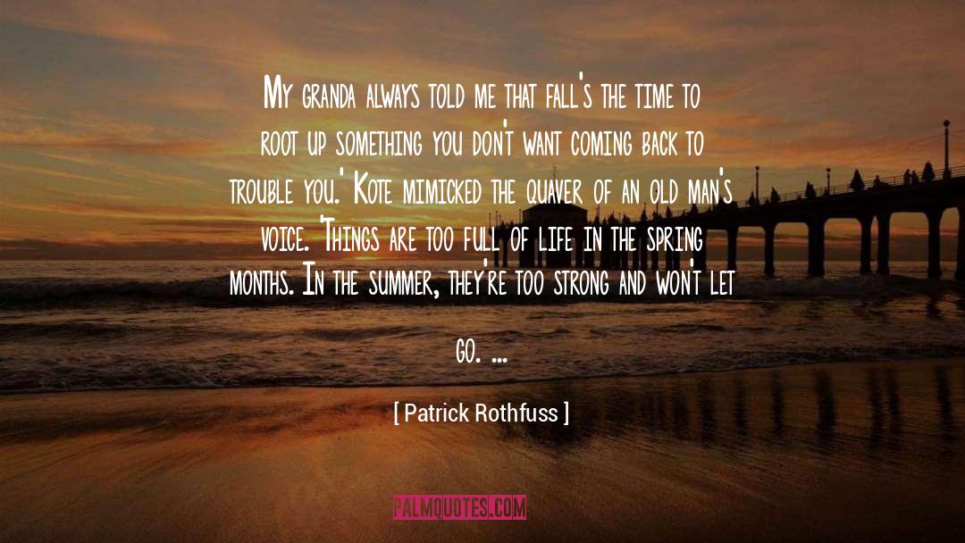 Poems On Letting Go quotes by Patrick Rothfuss