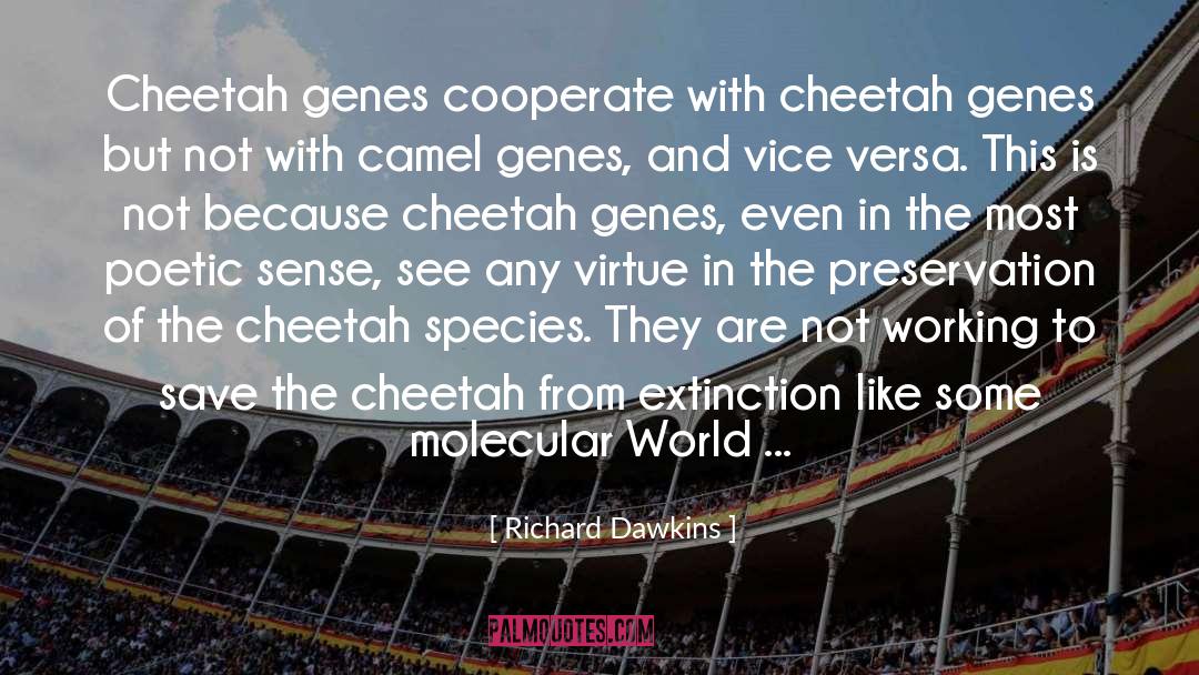 Poetic Enchantress quotes by Richard Dawkins