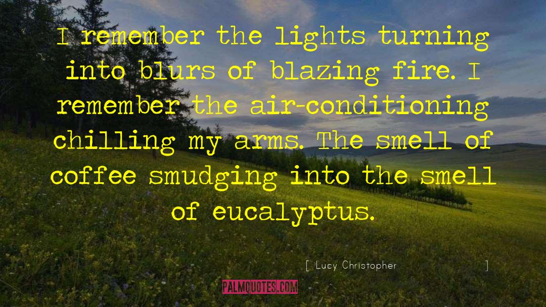 Poetic Fiction quotes by Lucy Christopher