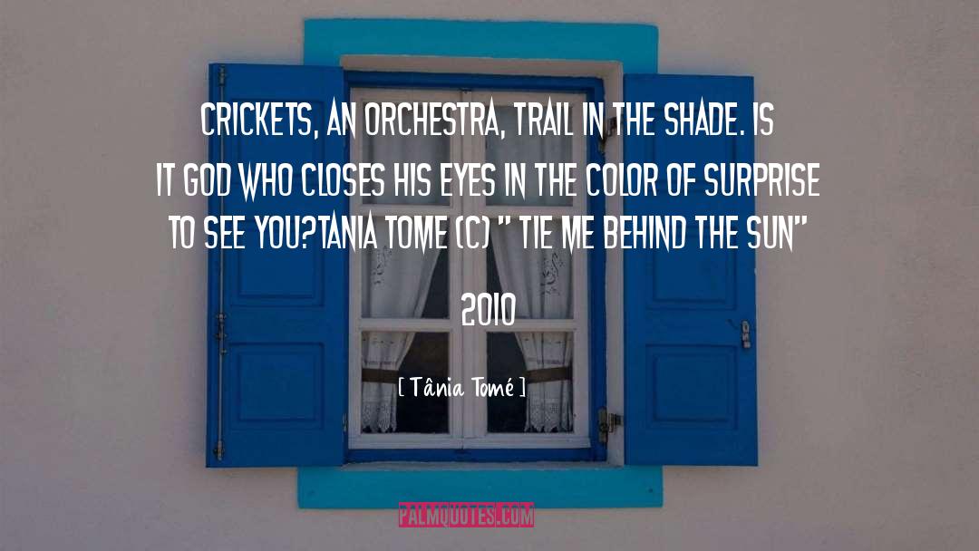 Poetry And Music quotes by Tânia Tomé