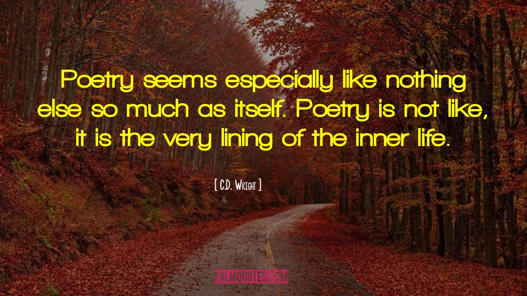 Poetry Dark Poetry quotes by C.D. Wright