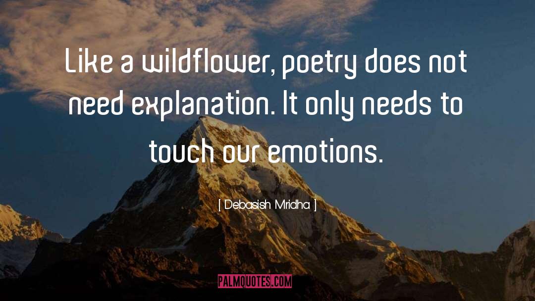 Poetry Does Not Need Explanation quotes by Debasish Mridha