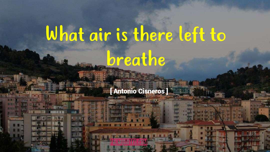 Poetry Excerpt quotes by Antonio Cisneros