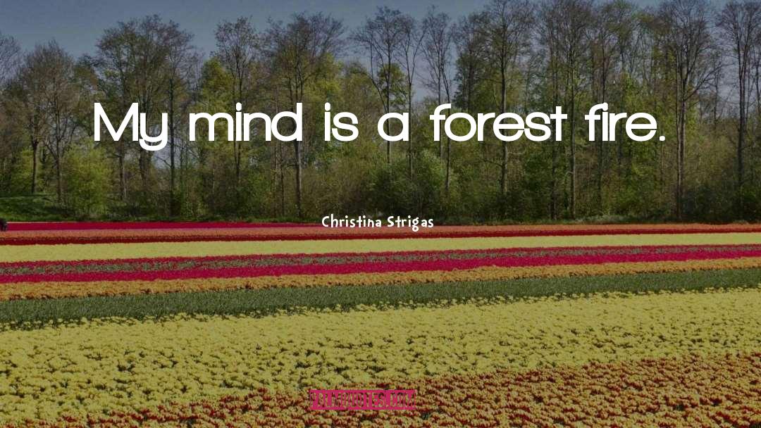 Poetry Life quotes by Christina Strigas