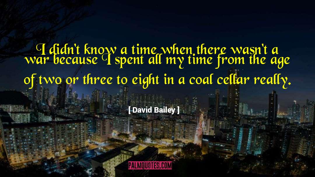 Pohjala Cellar quotes by David Bailey