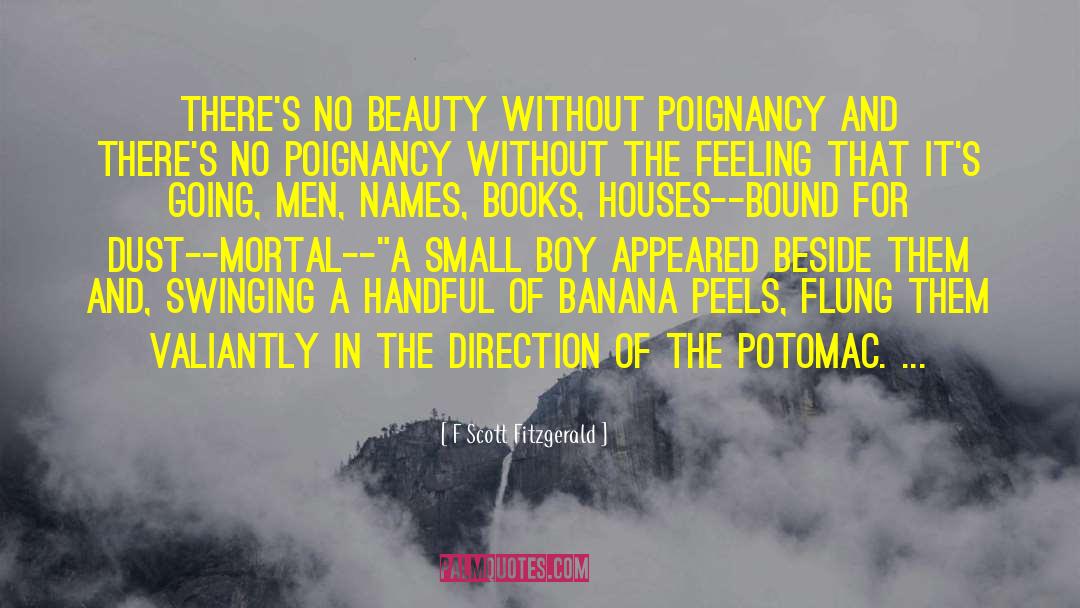 Poignancy quotes by F Scott Fitzgerald