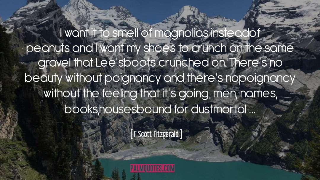 Poignancy quotes by F Scott Fitzgerald