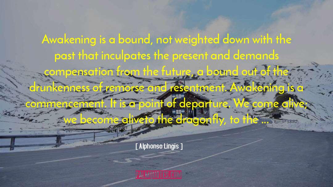 Point Of Departure quotes by Alphonso Lingis