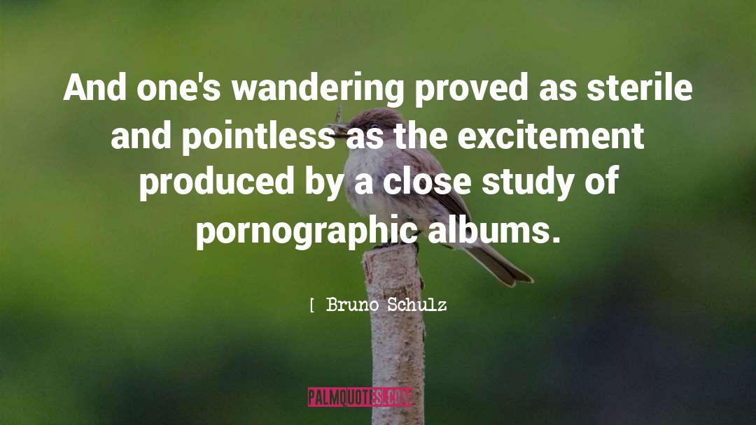 Pointless quotes by Bruno Schulz