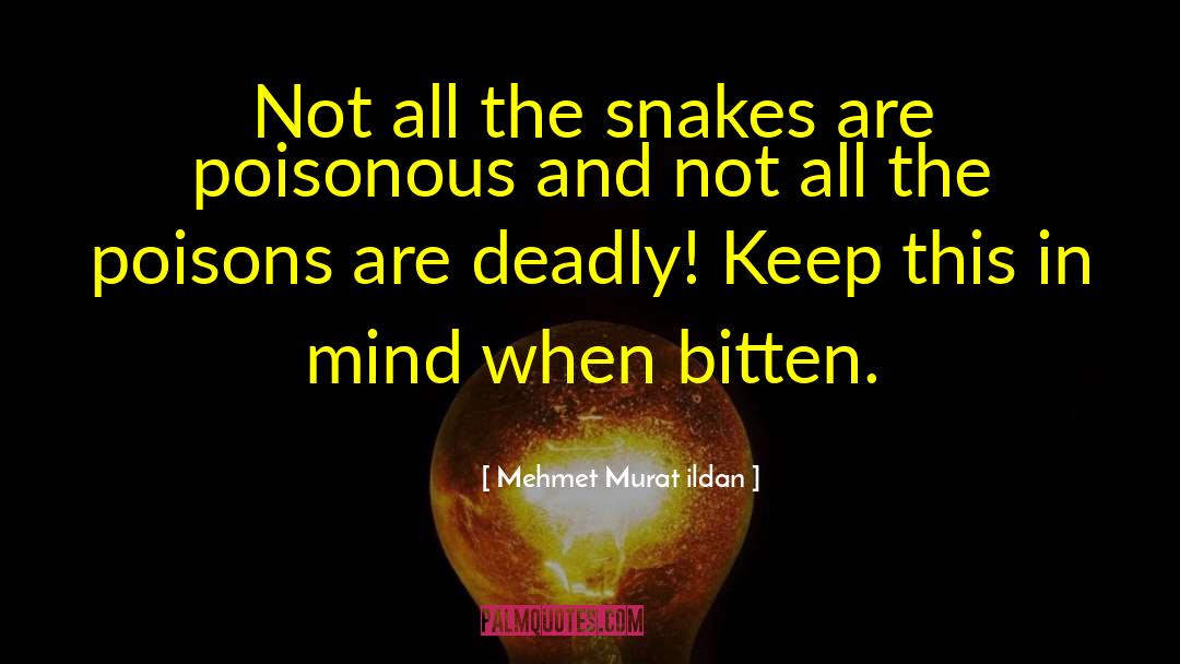 Poisonous Snakes quotes by Mehmet Murat Ildan