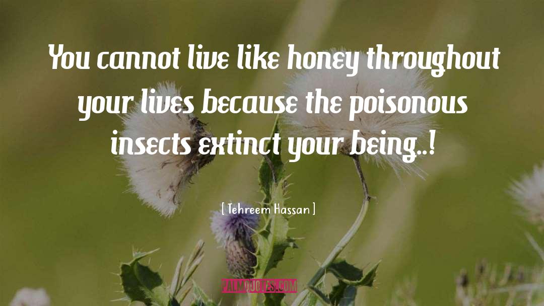 Poisonous Spider quotes by Tehreem Hassan