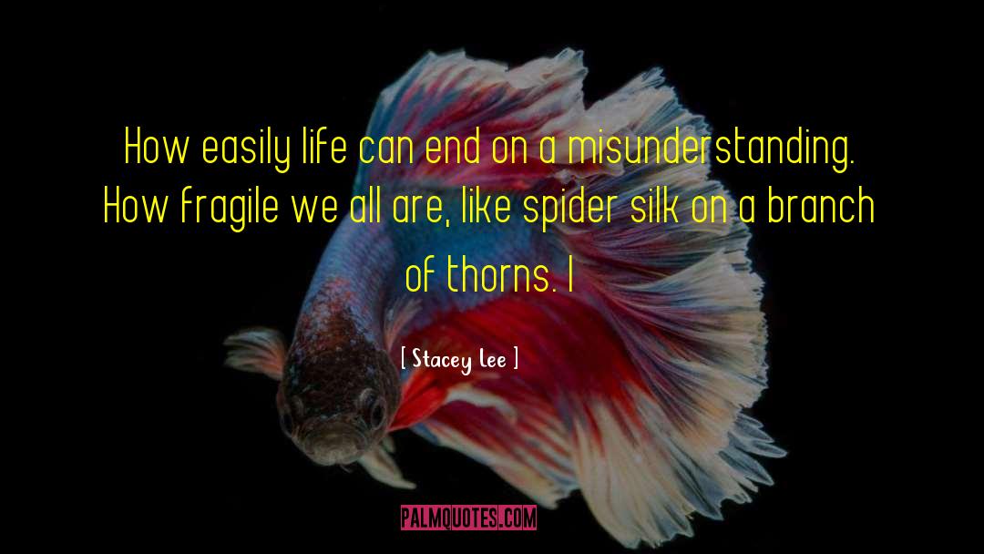 Poisonous Spider quotes by Stacey Lee