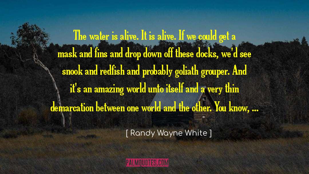 Pokonal Goliath quotes by Randy Wayne White