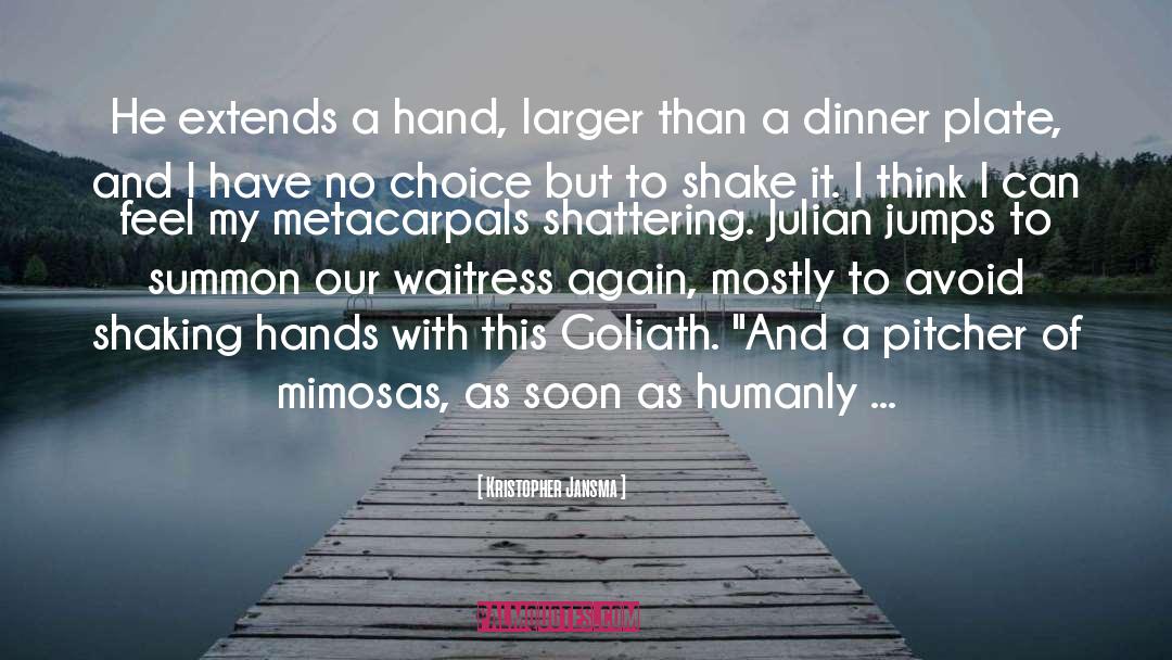Pokonal Goliath quotes by Kristopher Jansma