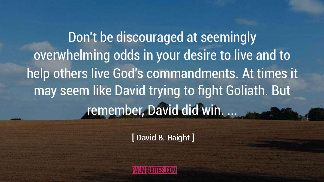 Pokonal Goliath quotes by David B. Haight