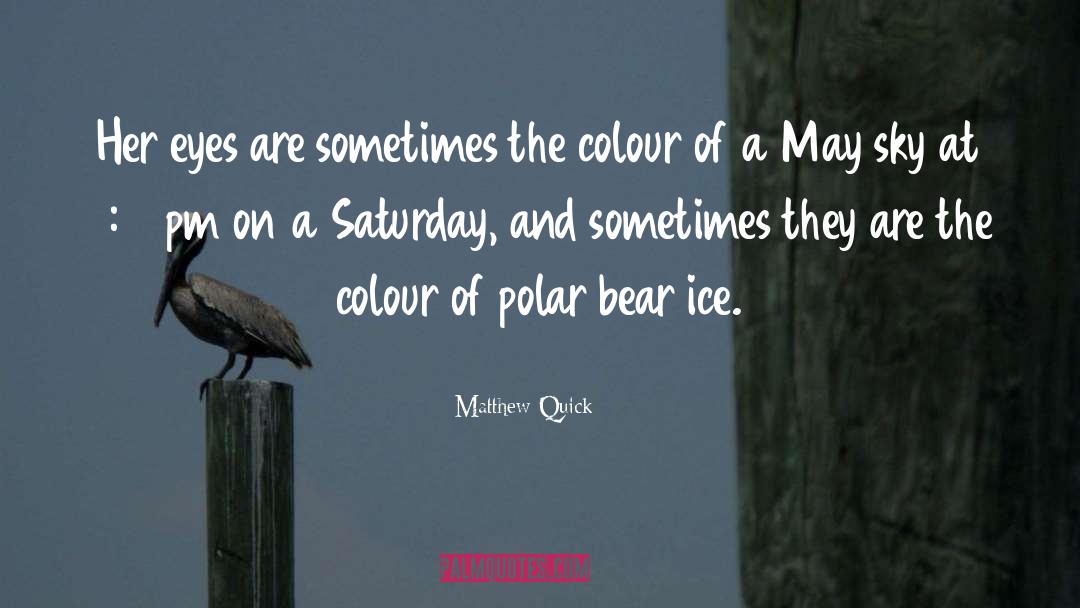 Polar Bear quotes by Matthew Quick