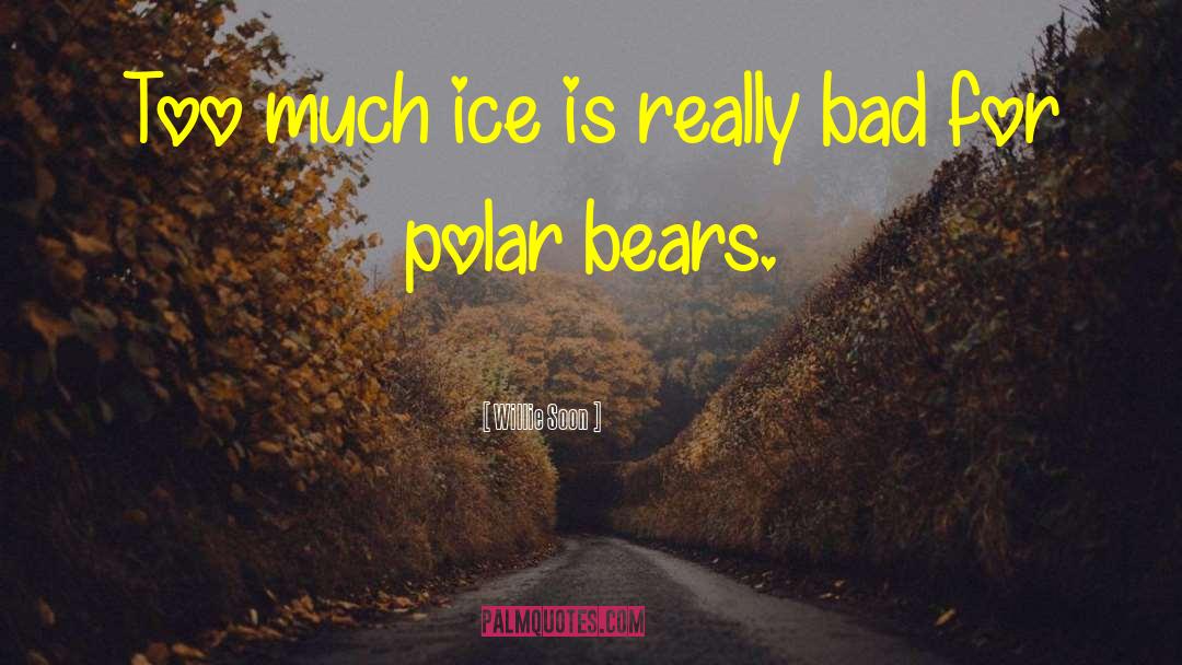 Polar Bears quotes by Willie Soon