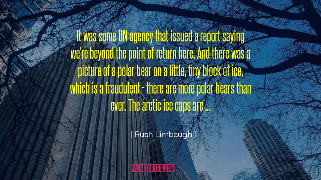 Polar Bears quotes by Rush Limbaugh