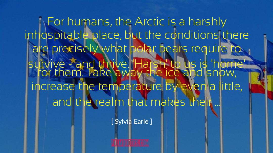 Polar Bears quotes by Sylvia Earle