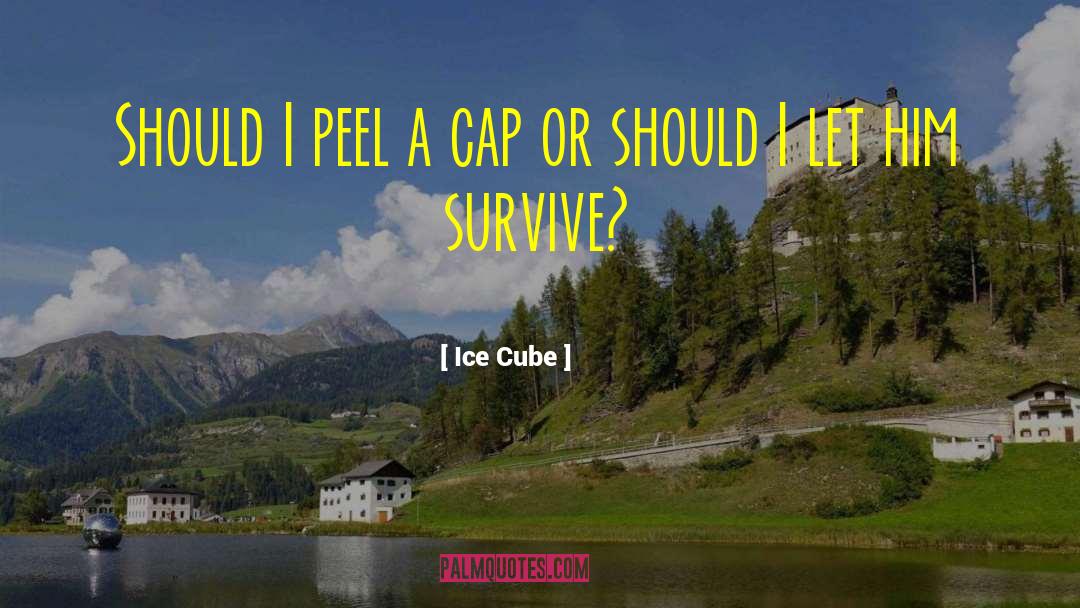 Polar Ice Caps quotes by Ice Cube