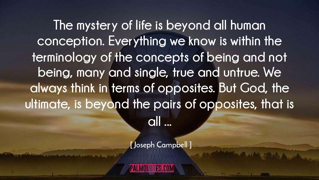 Polar Opposites quotes by Joseph Campbell