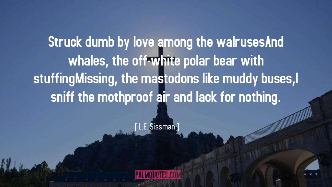 Polar quotes by L.E. Sissman