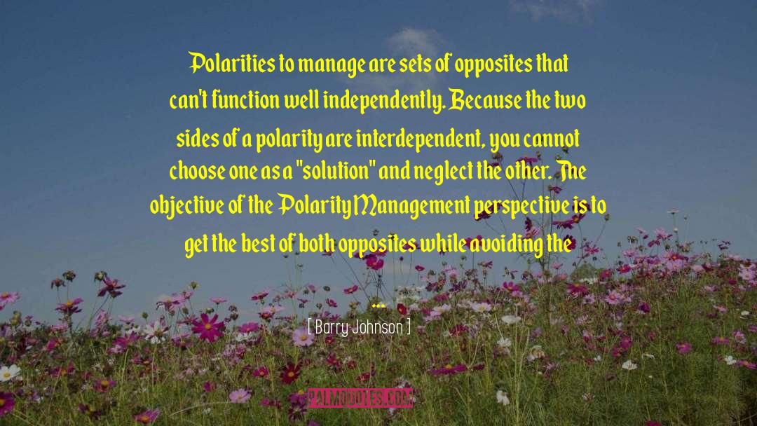 Polarities quotes by Barry Johnson