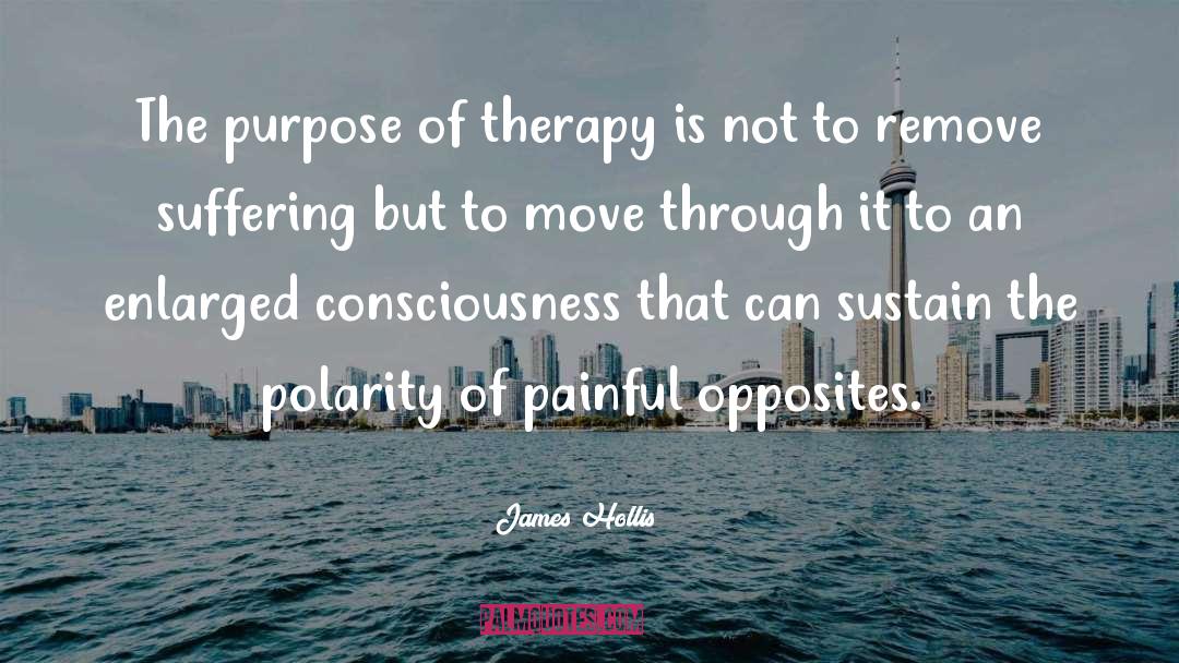 Polarity quotes by James Hollis