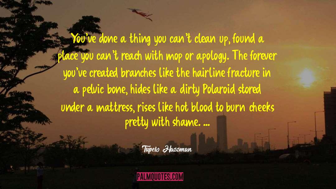 Polaroid quotes by Tupelo Hassman