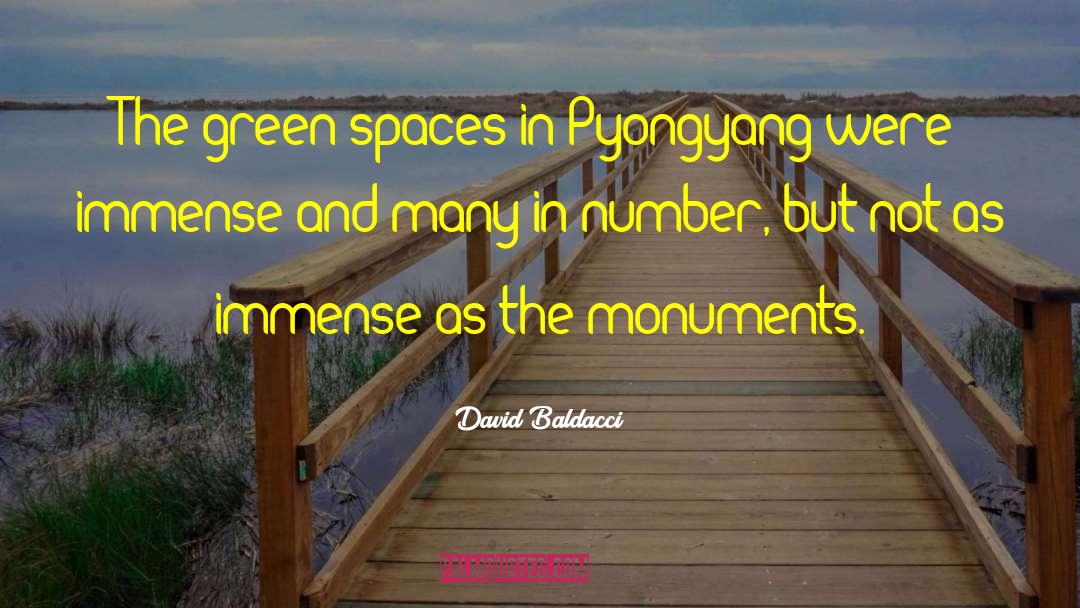 Polchinski Monuments quotes by David Baldacci