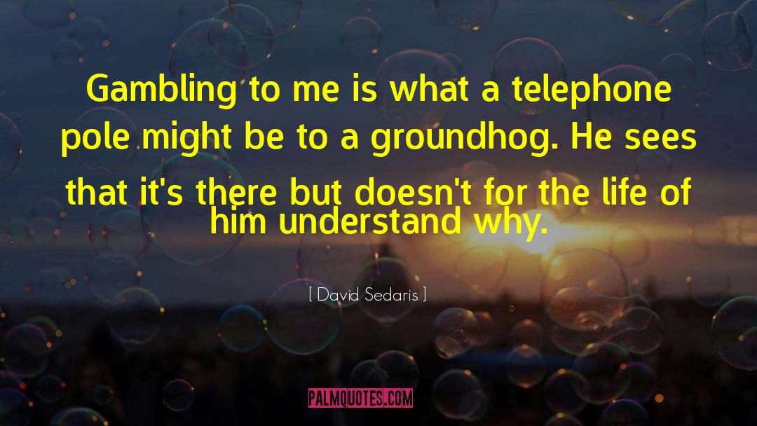 Pole quotes by David Sedaris