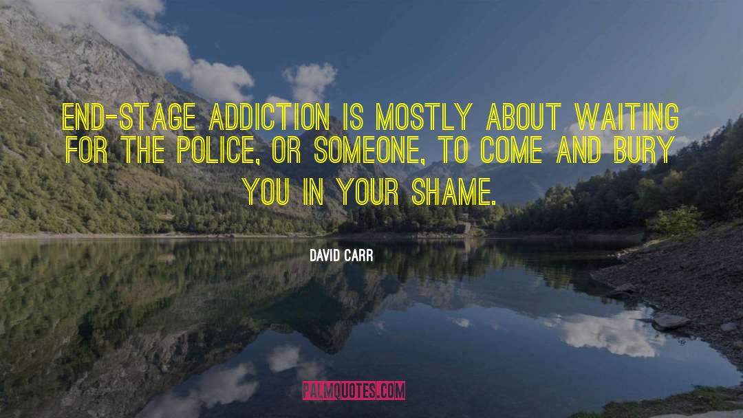 Police Patrol quotes by David Carr