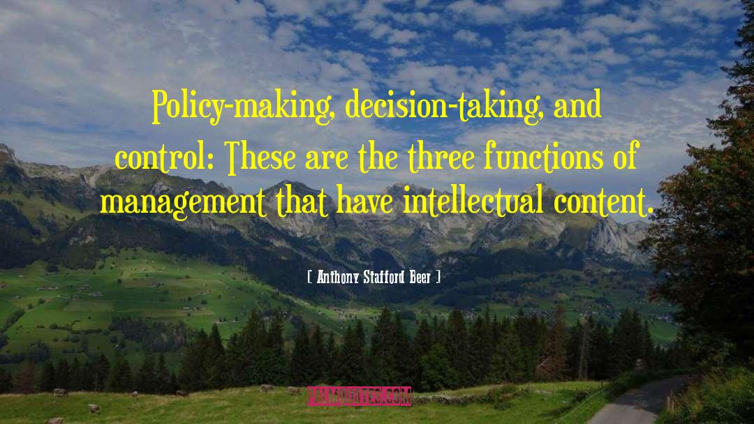 Policy Making quotes by Anthony Stafford Beer