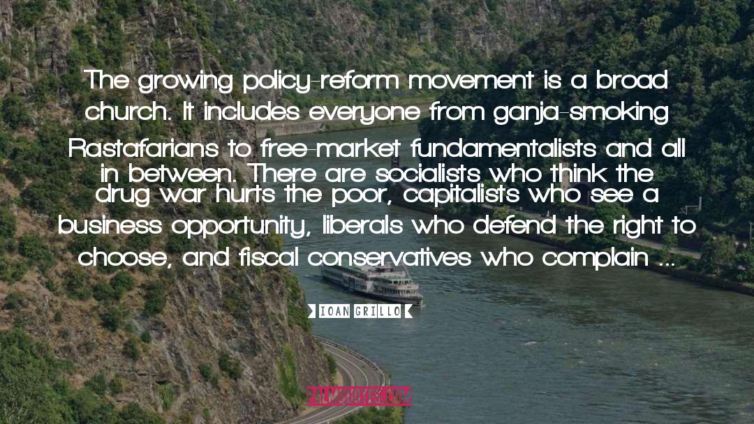 Policy Reform quotes by Ioan Grillo