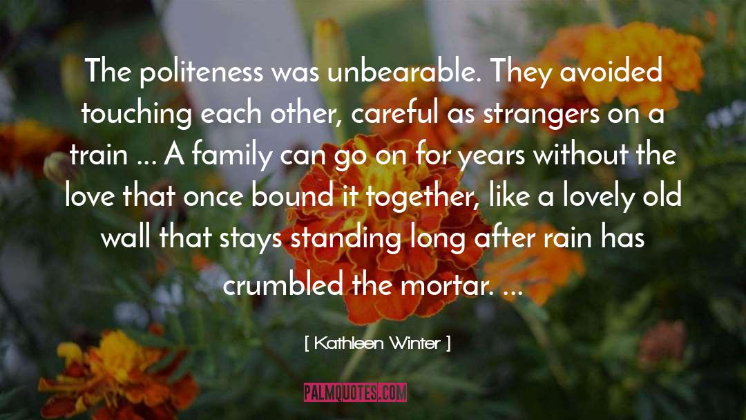 Politeness quotes by Kathleen Winter