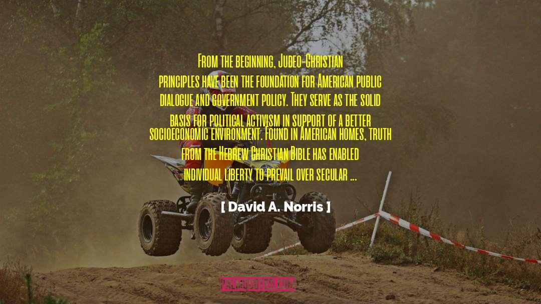 Political Activism quotes by David A. Norris