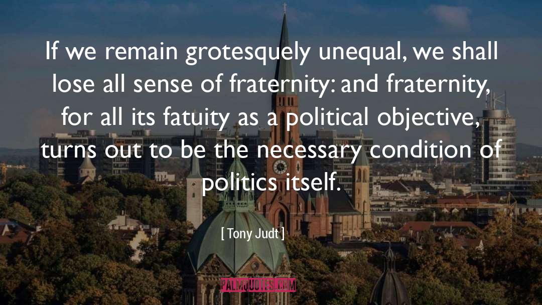 Political Campaigns quotes by Tony Judt