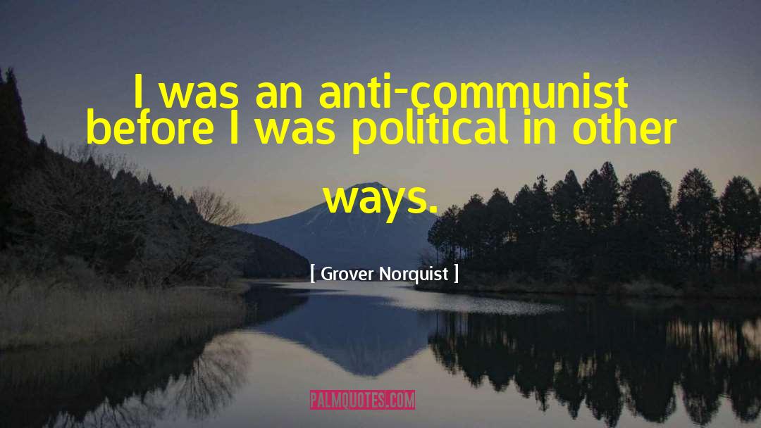 Political Commentaryy quotes by Grover Norquist
