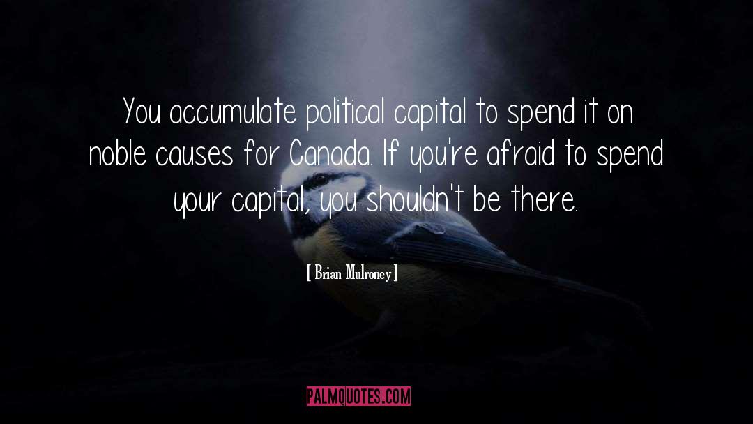 Political Communication quotes by Brian Mulroney